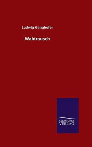 Cover image for Waldrausch