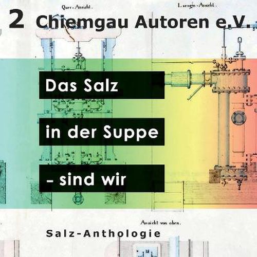 Cover image for Das Salz in der Suppe - sind wir: Anthologie des Vereins Chiemgau-Autoren e.V.