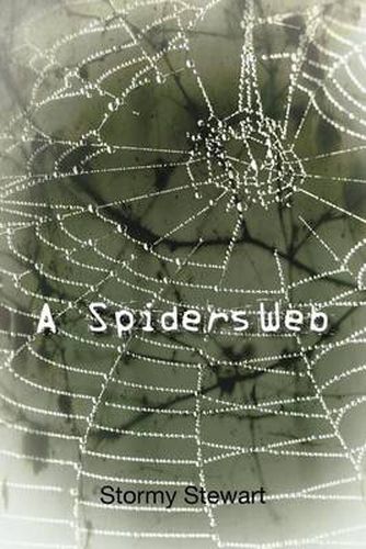 Cover image for A Spiders Web