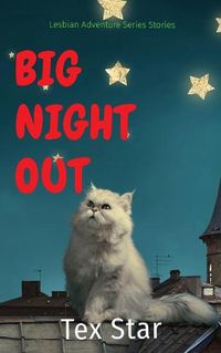 Cover image for Big Night Out: Lesbian Adventure Series Stories