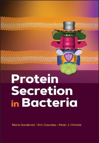 Cover image for Protein Secretion in Bacteria