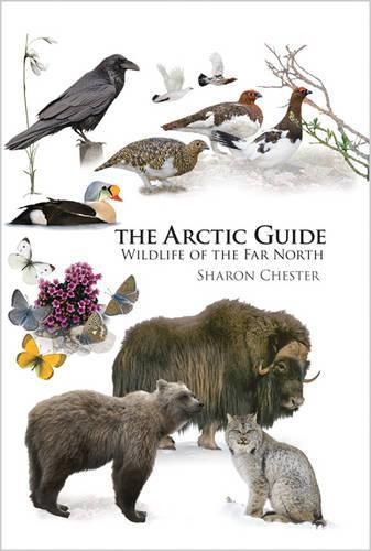Cover image for The Arctic Guide: Wildlife of the Far North