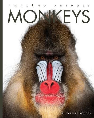 Cover image for Monkeys