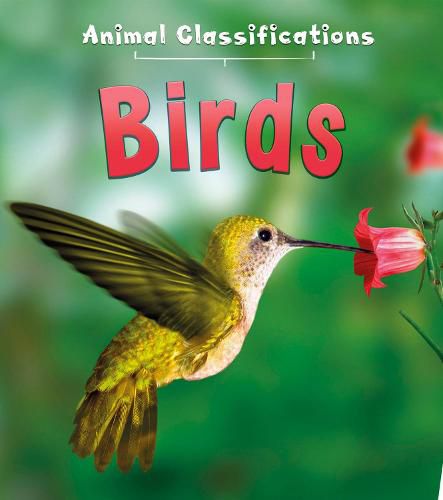 Cover image for Birds