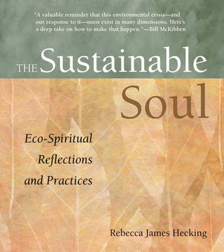 Cover image for Sustainable Soul: Eco-Spiritual Reflections and Practices