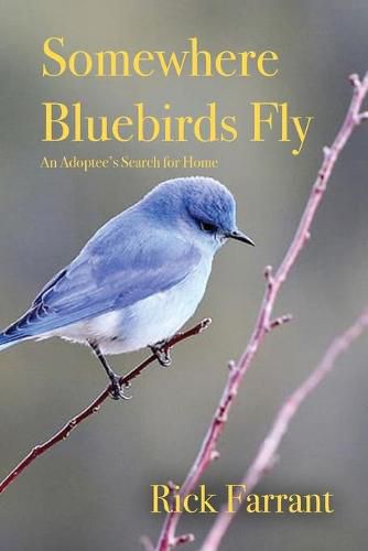 Cover image for Somewhere Bluebirds Fly: An Adoptee's Search for Home