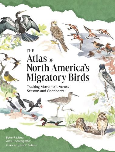 Cover image for The Atlas of North America's Migratory Birds