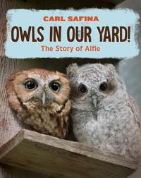 Cover image for Owls in Our Yard!