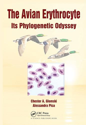 Cover image for The Avian Erythrocyte: Its Phylogenetic Odyssey