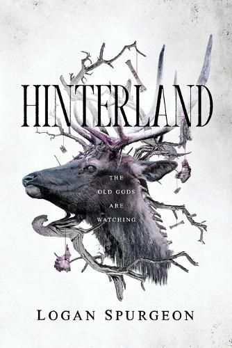 Cover image for Hinterland