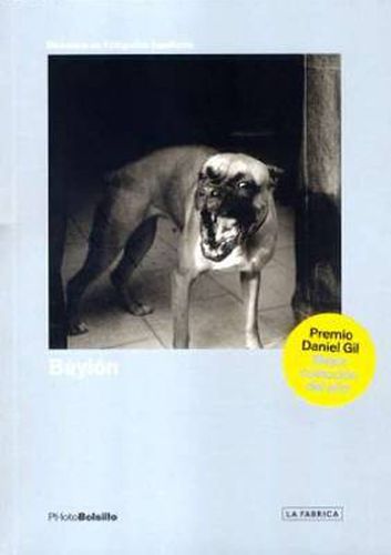 Cover image for Baylon