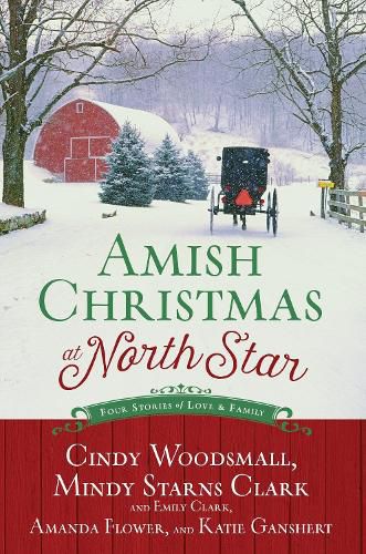 Cover image for 4in1: Amish Christmas at North Star: Four Stories of Love and Family