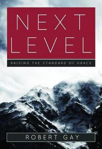 Cover image for Next Level: Raising the Standard of Grace