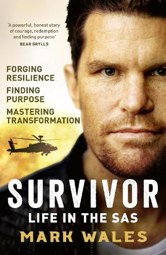 Cover image for Survivor