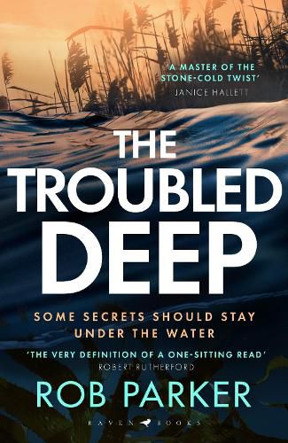 Cover image for The Troubled Deep