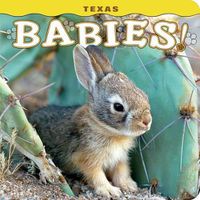 Cover image for Texas Babies!