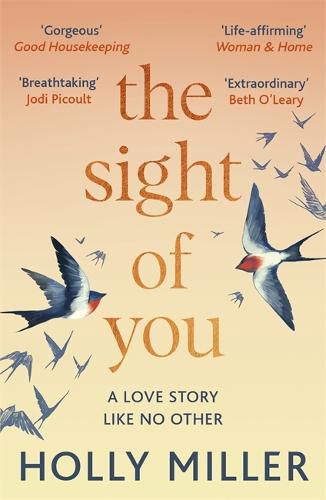 The Sight of You: An unforgettable love story and Richard & Judy Book Club pick