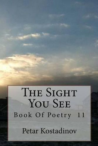 Cover image for The Sight You See