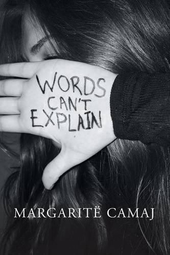 Cover image for Words Can't Explain