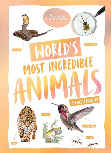 World's Most Incredible Animals