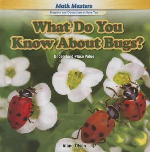 Cover image for What Do You Know about Bugs?: Understand Place Value