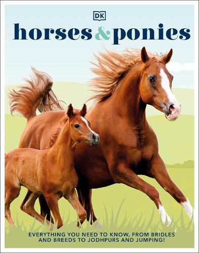 Cover image for Horses & Ponies: Everything You Need to Know, From Bridles and Breeds to Jodhpurs and Jumping!