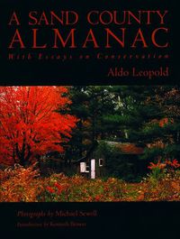 Cover image for A Sand County Almanac