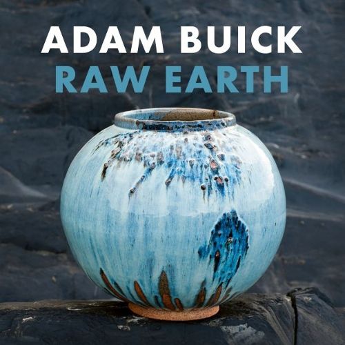 Cover image for Raw Earth