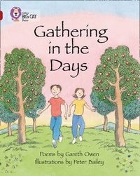 Cover image for Gathering in the Days: Band 14/Ruby