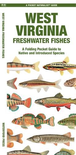 Cover image for West Virginia Freshwater Fishes