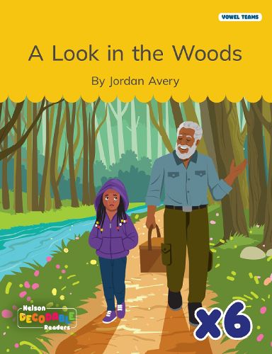 Cover image for A Look in the Woods x 6 (Vowel Teams)