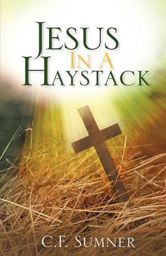 Cover image for Jesus In A Haystack