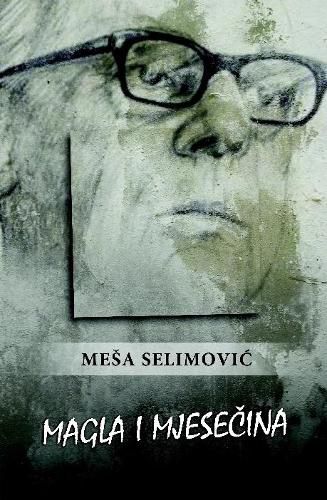 Cover image for Magla i mjesecina