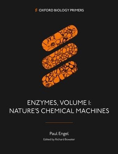 Cover image for Enzymes, Volume 1