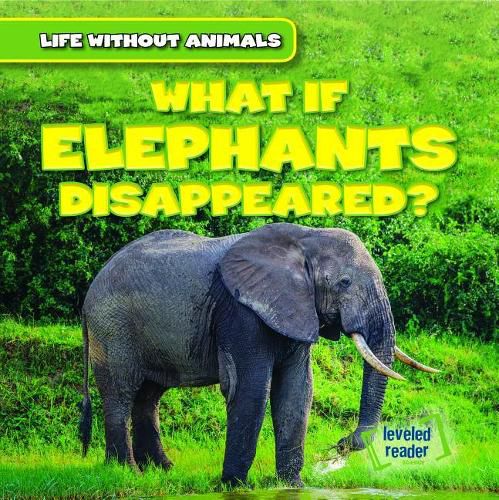 What If Elephants Disappeared?