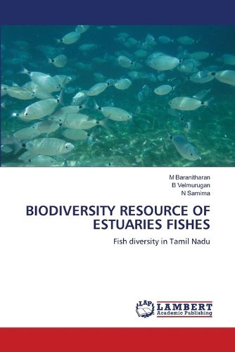 Cover image for Biodiversity Resource of Estuaries Fishes