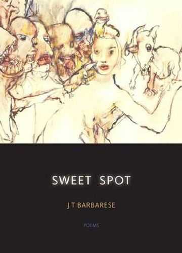 Cover image for Sweet Spot: Poems