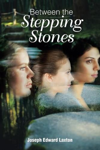 Cover image for Between the Stepping Stones