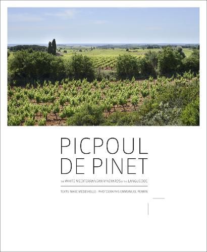 Picpoul de Pinet: The White Mediterranean Vineyards of the Languedoc