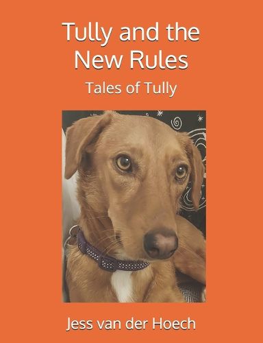 Cover image for Tully and the New Rules