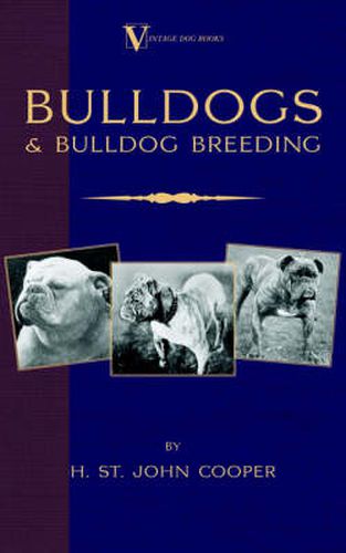 Cover image for Bulldogs and Bulldog Breeding