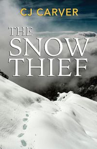 Cover image for The Snow Thief