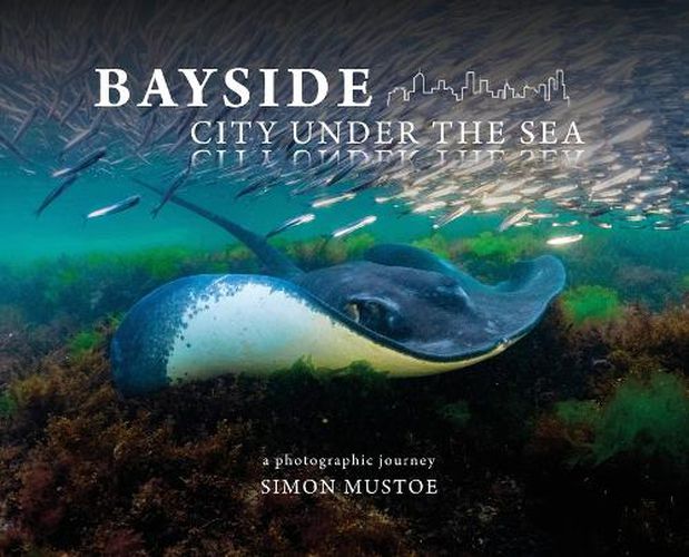 Cover image for Bayside's City Beneath the Sea