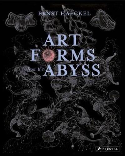 Art Forms from the Abyss: Ernst Haeckel's Images From The HMS Challenger Expedition