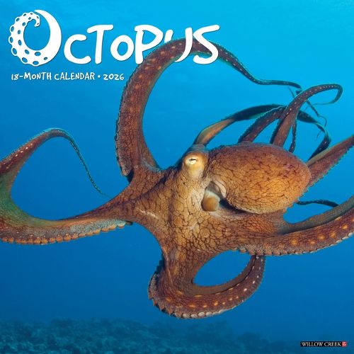 Cover image for Octopus 12 X 12 Wall Calendar