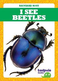 Cover image for I See Beetles