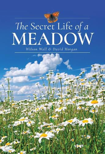 Cover image for The Secret Life of a Meadow