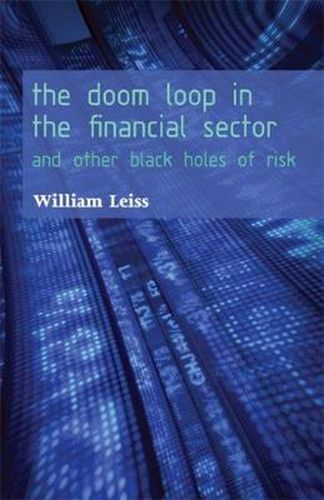 Cover image for The Doom Loop in the Financial Sector: And Other Black Holes of Risk