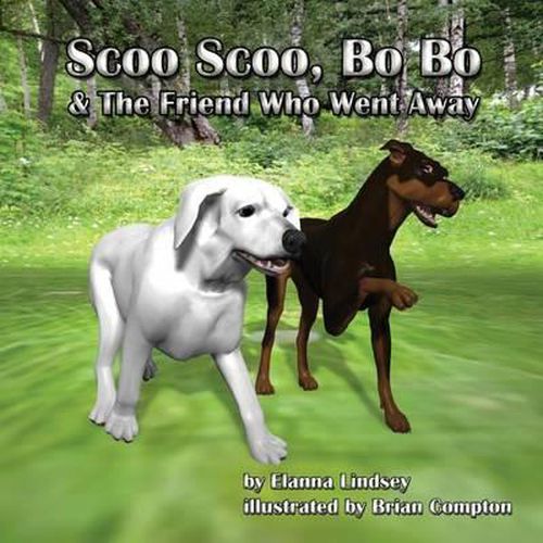 Cover image for Scoo Scoo, Bo Bo and the Friend who went away