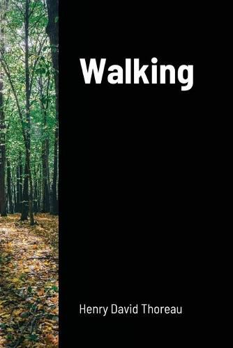 Cover image for Walking